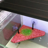 Rectangular Triangle Terrapin Dock PU Foam Aquarium Float Turtle Platform